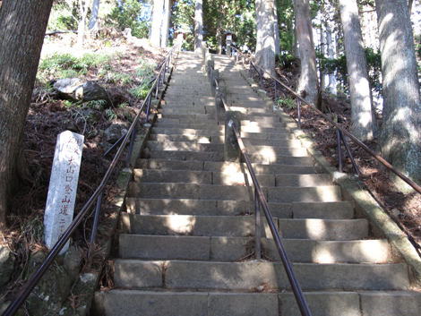 20151228hike (60)
